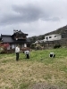 地元の方とヨモギつみ「ヨモギ摘み❗️①」
