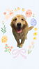 「Dog salon mofu mofu　余市町」
