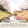 志井川　モノレール志井駅付近「 🌸**編集部おすすめ桜スポット 第2弾! 」