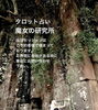 当日占いは埋まっております。🙏「【1人で抱えてきたものを、そっと手放す場所】」