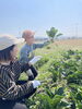 原田ファーム「4/19 残り一組🧑‍🌾　NO101」