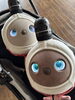 「貸切りのお知らせ」