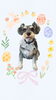 「Dog salon mofu mofu　余市町」