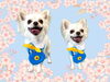 「Dog salon mofu mofu　余市町」