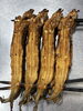 こちらの商品を1800円にて販売いたします。「保護犬譲渡会」