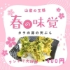 タラの芽「タラの芽の天ぷら」