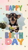 「Dog salon mofu mofu　余市町」