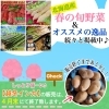 「【越冬インカのめざめ】４月末にて販売終了のお知らせ📢」