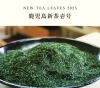 鹿児島新茶壱号「多田製茶 2025年の新茶がスタート! フレッシュな香りが強く、ミルクのような優しい甘い香りが特徴の煎茶🍵」