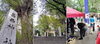 東金町の葛西神社にて「🚘🛞 クラシックカーとスポーツカー見学 🛞🏎️　★英会話と体操のコラボ教室（堀切、お花茶屋、綾瀬、亀有、小菅）」