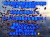 利用者様＆スタッフ募集！！「利用者様 ＆ スタッフ　募集中！！　　叶夢珈琲（障害者就労継続支援B型事業所 叶夢）」