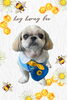 「Dog salon mofu mofu　余市町」