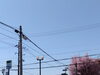 外「こんにちは！」