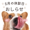 お知らせ「5月の休診日のお知らせ」