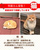 「【新居浜市】里親募集のお知らせ！」