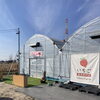 日進市米野木町のいちご直売所rikkefarm(リッケファーム)