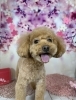 誕生日おめでとう！タケルちゃん「誕生日おめでとう( ^ω^ )」