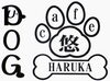「本日早仕舞い」