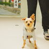 「今日のお友達」