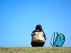 こども「不登校のお子さまにも―第3の居場所としての教室①/つくば/子ども/習い事/不登校」