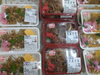 手作り弁当各種販売中！「ゴールデンウィークは休まず営業！」