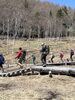 入坂湿原の木道「ゴールデンウィークのご予定は？お手軽な軽登山なら入笠山へ是非どうぞ」
