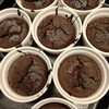 「女子会も蓮芯で♪/地産地消のお野菜と無添加調味料の身体に優しい料理【扶桑町】蓮芯」