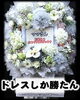 「ドレスしか勝たん〜お祝いのスタンド花〜【福山駅近くのおしゃれな花屋】」