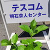 🌱 紫陽花を植えてみました【テスコム明石求人センター】明石市大明石町