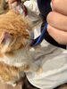 「利用者さん撮影🐱」