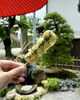 【期間限定】だんご飴っ茶（500円/税込）「カミカケ茶屋🍡新茶シーズン限定メニュー登場！初夏の境内で、ほっと一息「新茶の味わい」をお楽しみください🍵」