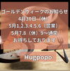 「ゴールデンウィークの営業のご案内📢【福井韓国風カフェ Hugpopo ハグポポ】」