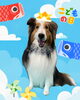 「Dog salon mofu mofu　余市町」