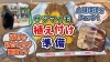「【驚きの成長スピード！】品種によるサツマイモの生育スピードが⋯こんなにハッキリ出る事態になりました。　たねのハシモトミヤ」