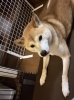 ちょっと暑くなってきましたね💦「ゴールデンウイーク休業のお知らせと、休み明けからの定期試験対策について」