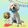 「Dog salon mofu mofu 余市町」