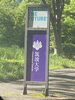 いま、話題の筑波大学です。新緑が綺麗です。「元警視庁刑事　顧問。浮気調査　家出調査　防犯対策　人探し　結婚調査等は　防犯対策等は、【創業平成7年、調査の青葉グループ　群馬-太田 栃木-足利・佐野　茨城-古河　埼玉-本庄　若さと責任感 be-ハッピー探偵事務所群馬太田】」