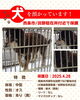 「迷い犬を保護しています【西条西警察署／田野駐在所付近】」