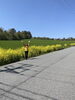 自然を満喫しよう🩷「5月のキャンペーンのお知らせ」