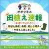 「＼🌱オオツキの田植え速報🌾／」
