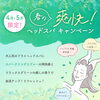 「春の爽快ドライヘッドスパキャンペーンが大好評！（=^ェ^=) 整体・オイル・リーディング・占い・顔そり・氣功」