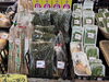 たけのこ・山菜など、春の味覚が揃っています🌿「春の味覚が勢ぞろい!たけのこ・山菜を取り揃えております🌿」