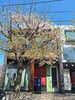 「お店の前の桜が咲きました！」