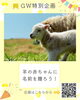 「ふるるファーム 羊の赤ちゃんに名前を贈ろう🐑🌸」