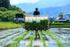 田植え作業、お疲れ様です！！「田植え後の疲れたカラダに「ボディケアコース」！お客様の声ご紹介」