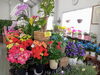 「もうすぐ母の日！贈り物にはお花を。南魚沼の花屋、フローリストたかの。」