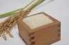 「【本八幡TRAD】使用するお米が福井県産「つきあかり」に切り替わりました🌾✨」