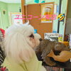 レアちゃん「今日のお友達」