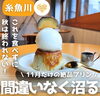 「カフェ絲と糸さんで11月限定おいもプリン食べてきた🍠」