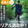 「美山公園でリアル逃走中🏃‍♂️開催決定🏃‍♂️！」